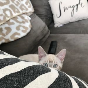 Meet your Posher, Eva